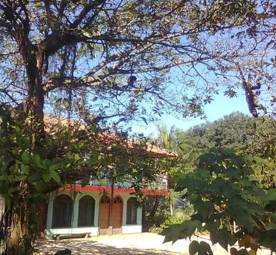 Cabinas Hoja Del Bosque Hotel cápsula *